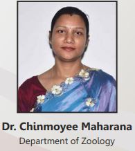 Dr Chinmmoye