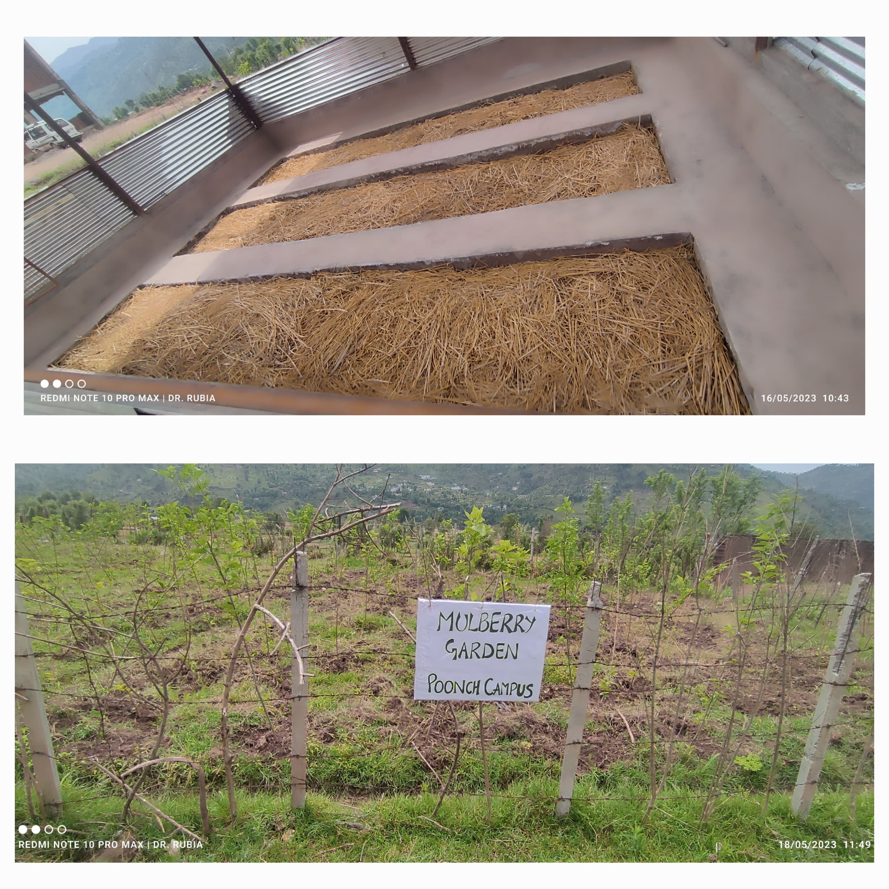 Vermicompost unit and mulberry garden