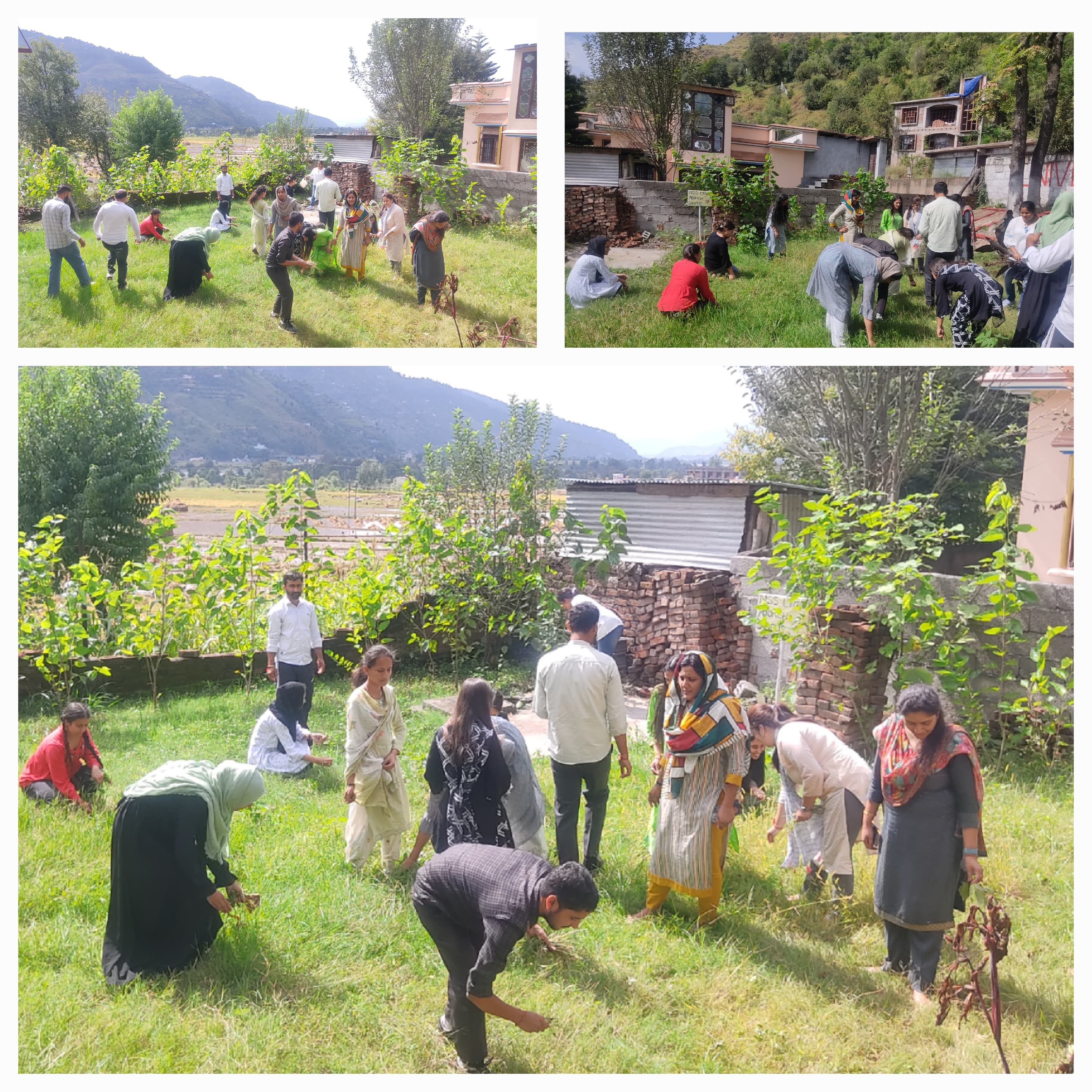 Plantation drive organized by NSS Unit Poonch Campus, University of Jammu
