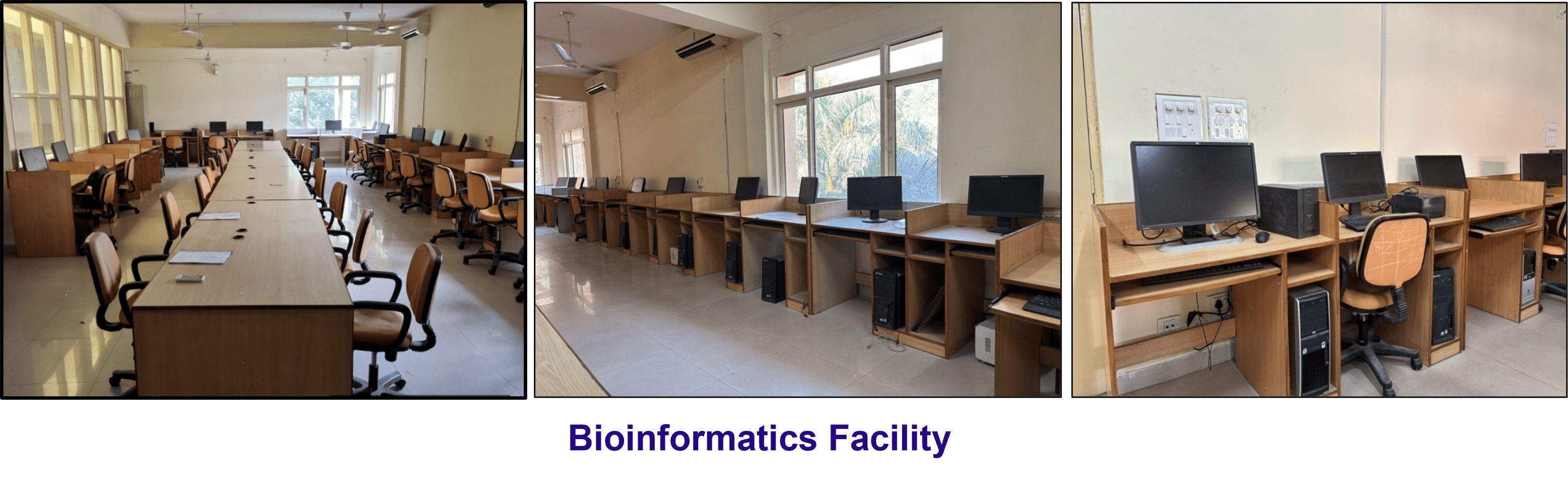 Bioinformatics laboratory