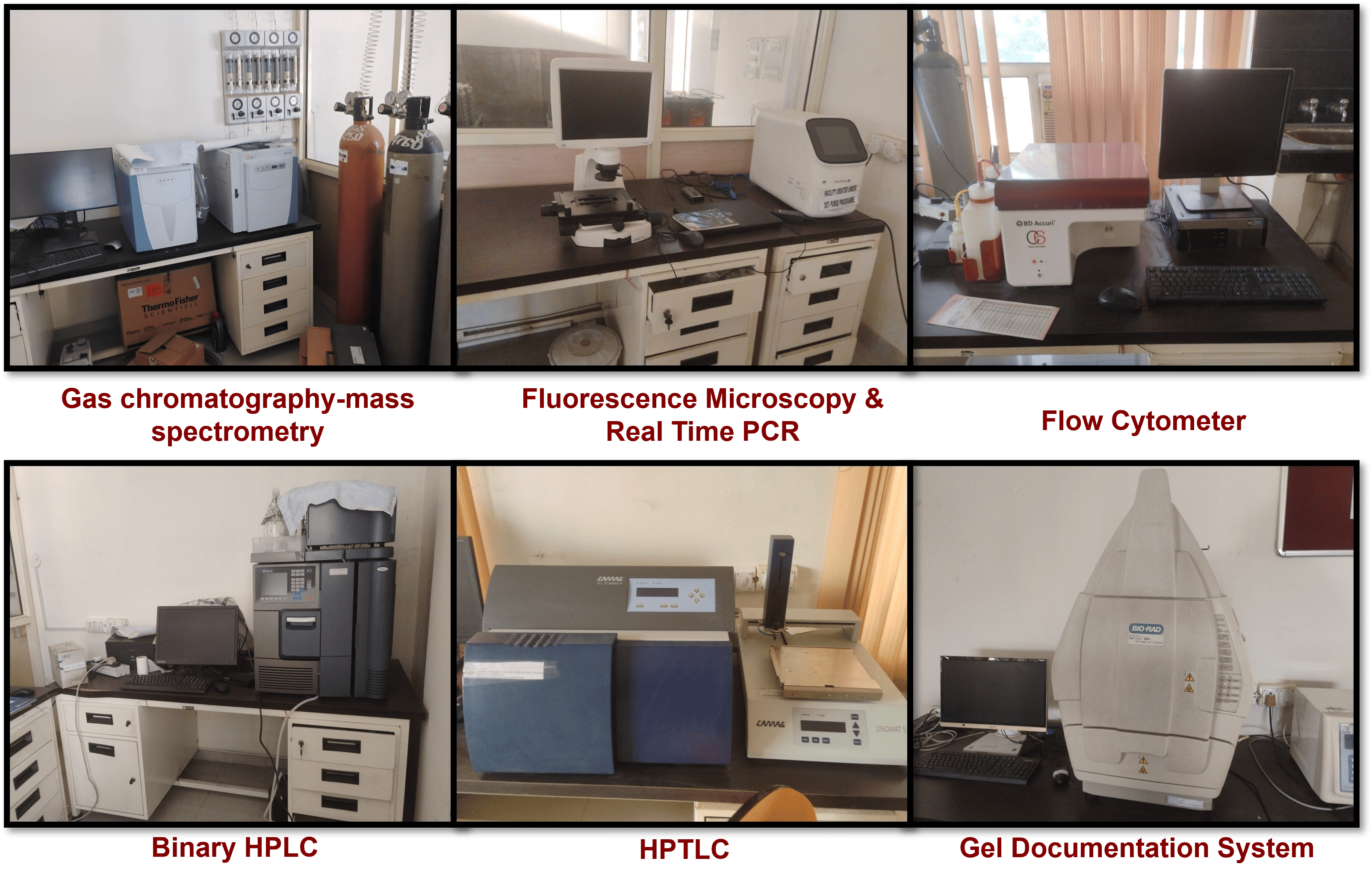 Central Instrumentation facilities