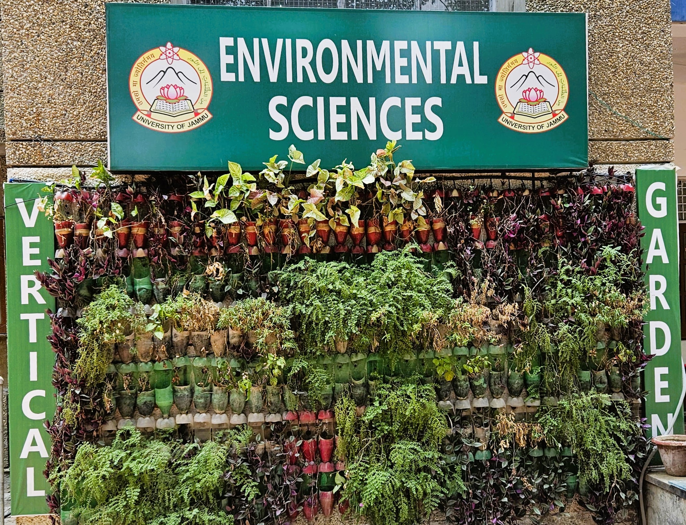 Vertical Garden at Department of Environmental Sciences
